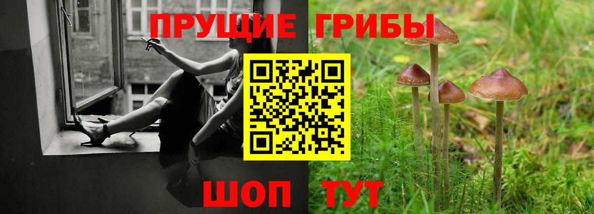 Галлюциногенные грибы ЛСД Заинск