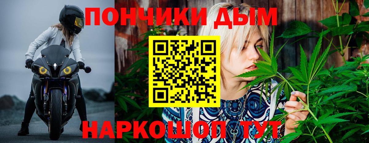 Бошки марихуана Amnesia Заинск